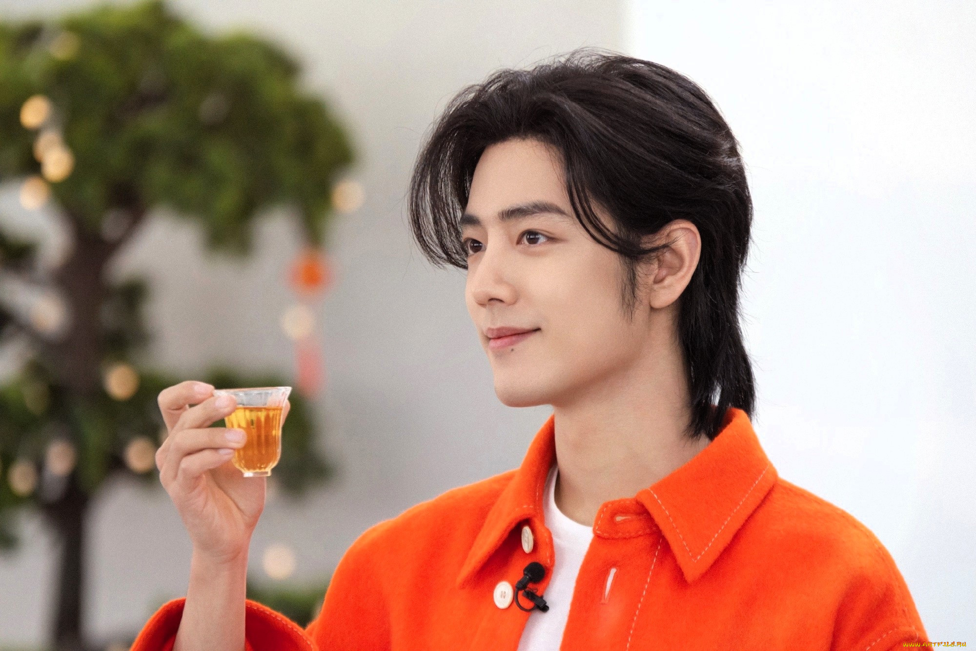 , xiao zhan, , , , , 